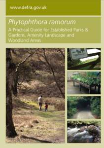 www.defra.gov.uk  Phytophthora ramorum A Practical Guide for Established Parks & Gardens, Amenity Landscape and Woodland Areas