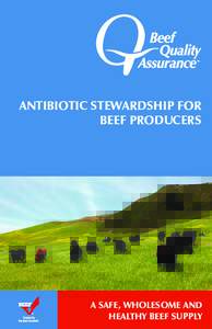 ANTIBIOTIC STEWARDSHIP FOR BEEF PRODUCERS A SAFE, WHOLESOME AND ANTIBIOTIC STEWARDSHIP FOR BEEF PRODUCERS HEALTHY BEEF SUPPLY1