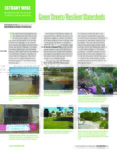 Natural environment / Water / Earth / Stormwater management / Environmental engineering / Water pollution / Hydraulic engineering / Drainage / Stormwater / Rain garden / Daylighting / Green infrastructure