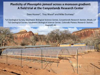 Plasticity of Pleuraphis jamesii across a monsoon gradient: A field trial at the Canyonlands Research Center Dave Hoover1, Troy Wood2 and Mike Duniway1 1US  Geological Survey, Southwest Biological Science Center, Canyonl