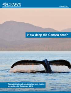 21 JanuaryHow deep did Canada dare? Assessing national progress towards marine protection to December 2012