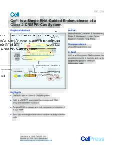 Article  Cpf1 Is a Single RNA-Guided Endonuclease of a Class 2 CRISPR-Cas System Graphical Abstract