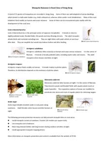 Microsoft Word - PC Newsletter_July2014_Mosquito Nuisance in Rural Area of Hong Kong_E.docx