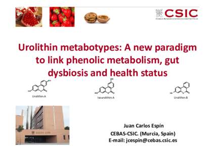 Urolithin metabotypes: A new paradigm to link phenolic metabolism, gut dysbiosis and health status OH  OH