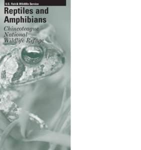 U.S. Fish & Wildlife Service  Reptiles and Amphibians Chincoteague National
