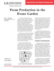 Pecan Production in the Home Garden - FSA6110