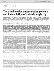 Evolutionary biology / Demospongiae / Cell signaling / Developmental biology / Genomics / Amphimedon queenslandica / Amphimedon / Signal transduction / Multicellular organism / Urmetazoan / Hedgehog signaling pathway / NF-B