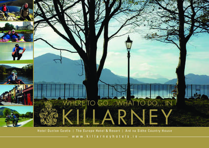 Killarney / Ring of Kerry / Gap of Dunloe / Muckross / Iveragh Peninsula / Torc Waterfall / Ladies View / County Kerry / Geography of Ireland / Munster