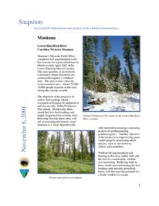Snapshots Successful BLM hazardous fuels projects in the wildland urban interface... ○ ○
