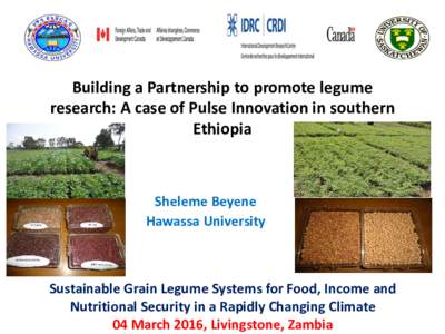 Building a Partnership to promote legume research: A case of Pulse Innovation in southern Ethiopia Sheleme Beyene Hawassa University