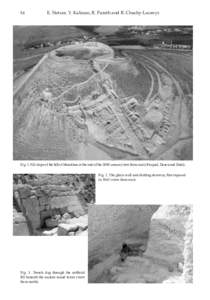 84  E. Netzer, Y. Kalman, R. Porath and R. Chachy-Laureys Fig. 1. NE slope of the hill of Herodium at the end of the 2009 season (view from east) (Pasqual, Doron and Dudi). Fig. 2. The glacis wall and abutting doorway, f