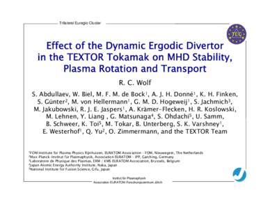 Trilateral Euregio Cluster  TEC Effect of the Dynamic Ergodic Divertor in the TEXTOR Tokamak on MHD Stability,