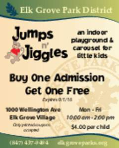 Elk Grove Park District an indoor playground & carousel for little kids