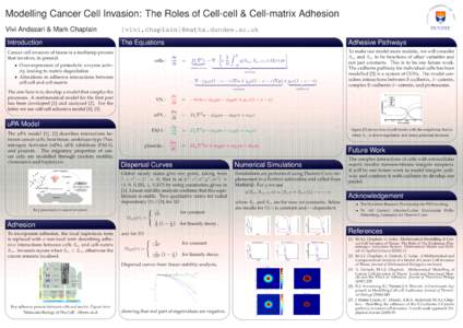 Modelling Cancer Cell Invasion: The Roles of Cell-cell & Cell-matrix Adhesion Vivi Andasari & Mark Chaplain {vivi,chaplain}@maths.dundee.ac.uk  Introduction