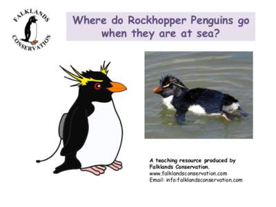 Where do Rockhopper Penguins go when they are at sea? A teaching resource produced by Falklands Conservation. www.falklandsconservation.com