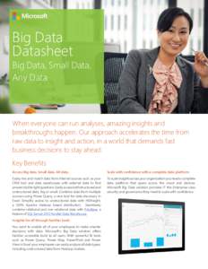 Big Data Datasheet Big Data, Small Data, Any Data