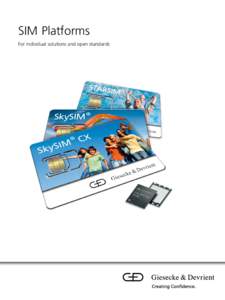 SIM Platforms For individual solutions and open standards STARSIM® Product Line Overview The successful STARSIM® platform opens up a wide