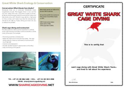 Ichthyology / Predators / Sharks / Great white shark / Outline of sharks / Grey reef shark / Fish / Carcharhinidae / Lamnidae