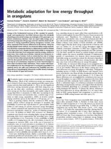 Metabolic adaptation for low energy throughput in orangutans Herman Pontzera,1, David A. Raichlenb, Robert W. Shumakerc,d, Cara Ocobocka, and Serge A. Wiche,f a Department of Anthropology, Washington University, St Louis