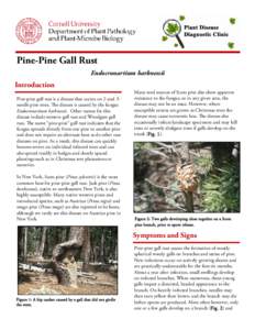 ine-Pine Gall Rust P Endocronartium harknessii Introduction Pine-pine gall rust is a disease that occurs on 2-and 3needle pine trees. The disease is caused by the fungus