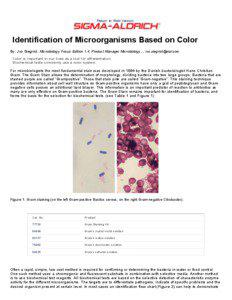 Return to Web Version  Identification of Microorganisms Based on Color