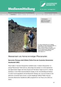 7.158 Zeichen Abdruck honorarfrei Beleg wird erbeten Dr. Manuel Steinbauer bei Vegetationsstudien auf dem Haleakalā (3000 m), einem Vulkan auf der Insel Maui,