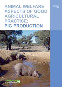 ANIMAL WELFARE ASPECTS OF GOOD AGRICULTURAL PRACTICE: PIG PRODUCTION