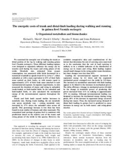 2050 The Journal of Experimental Biology 209, Published by The Company of Biologists 2006 doi:jebThe energetic costs of trunk and distal-limb loading during walking and running