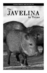 TEXAS PARKS AND WILDLIFE  The Javelin a