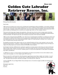 WinterGolden Gate Labrador Retriever Rescue, Inc.  Message From The President