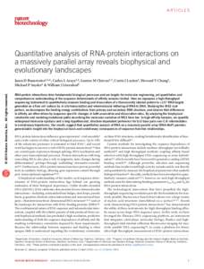 Articles  Quantitative analysis of RNA-protein interactions on a massively parallel array reveals biophysical and evolutionary landscapes