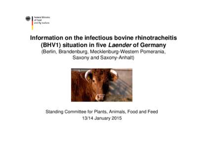 Information on the infectious bovine rhinotracheitis (BHV1) situation in five Laender of Germany (Berlin, Brandenburg, Mecklenburg-Western Pomerania, Saxony and Saxony-Anhalt)  Standing Committee for Plants, Animals, Foo