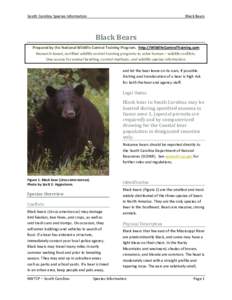 South Carolina Species Information  Black Bears Black Bears Prepared by the National Wildlife Control Training Program. http://WildlifeControlTraining.com