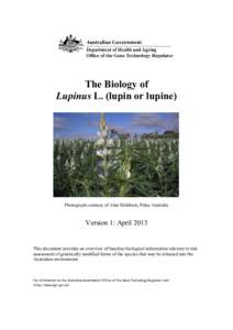 Botany / Lupinus / Vegan cuisine / Vegetarian cuisine / Lupin bean / Invasive plant species / L. albus / Legume / Bean / Agriculture / Food and drink / Flowers