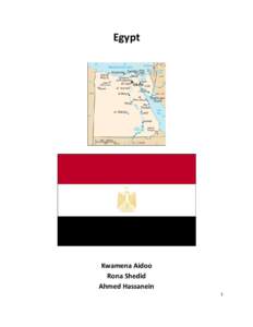 Microsoft Word - Egypt Final.docx