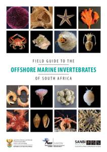 FIELD GUIDE TO The  OFFSHORE MARINE INVERTEBRATES O F S out h A f r i c a  agriculture, forestry and fisheries