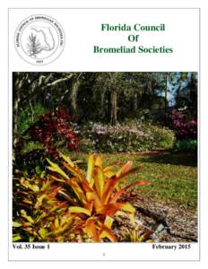 Florida Council Of Bromeliad Societies Vol. 35 Issue 1