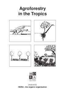 Agroforestry in the Tropics produced by  HDRA - the organic organisation
