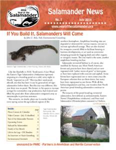 Salamander News No. 7 July 2014