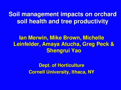 Apple rootstocks and groundcover management systems influence  orchard productivity, sustainability, and soil microbial communities