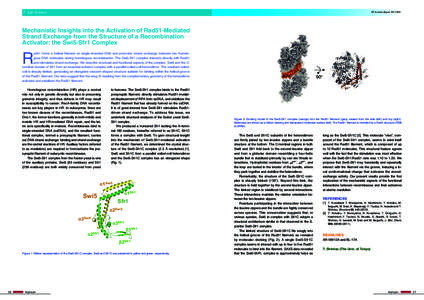 5 Life Science  PF Activity Report 2012 #30 Mechanistic Insights into the Activation of Rad51-Mediated Strand Exchange from the Structure of a Recombination