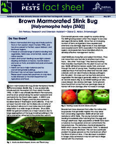 Published by Utah State University Extension and Utah Plant Pest Diagnostic Laboratory  ENTBrown Marmorated Stink Bug