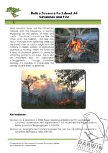 Belize Savanna Factsheet A4 Savannas and Fire Most savanna types are fire influenced habitats with the frequency of burning impacting on the density of trees and