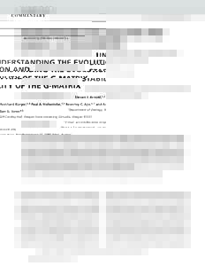 UNDERSTANDING THE EVOLUTION AND STABILITY OF THE G-MATRIX