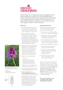 Orchid Observers is a research project investigating how the flowering period of orchids in the UK is being affected by climate change. By gathering photographs of flowering orchids and combining them with data from orch