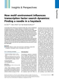 How motif environment influences transcription factor search dynamics: Finding a needle in a haystack
               How motif environment influences transcription factor search dynamics: Finding a needle in a haystack