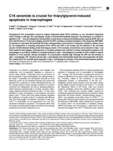 C16 ceramide is crucial for triacylglycerol-induced apoptosis in macrophages