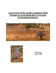 An Overview of the Usangu Catchment, Ihefu Wetland, & Great Ruaha River Ecosystem Environmental disaster. Bruce Fox March 2004