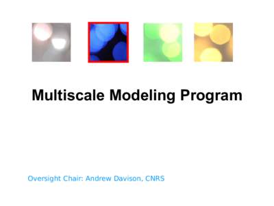 Multiscale Modeling Program  Oversight Chair: Andrew Davison, CNRS Mission: to improve interoperability and reproducibility of neural simulations