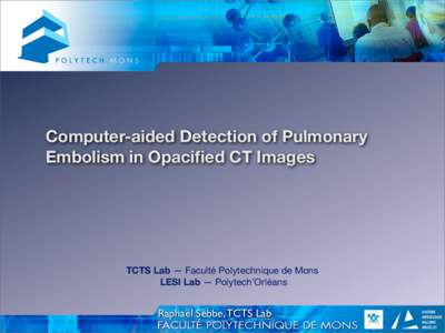 Computer-aided Detection of Pulmonary Embolism in Opacified CT Images TCTS Lab — Faculté Polytechnique de Mons LESI Lab — Polytech’Orléans